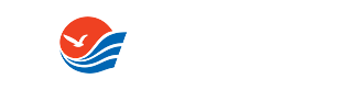 合作伙伴，成功案例