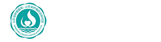 合作伙伴，成功案例